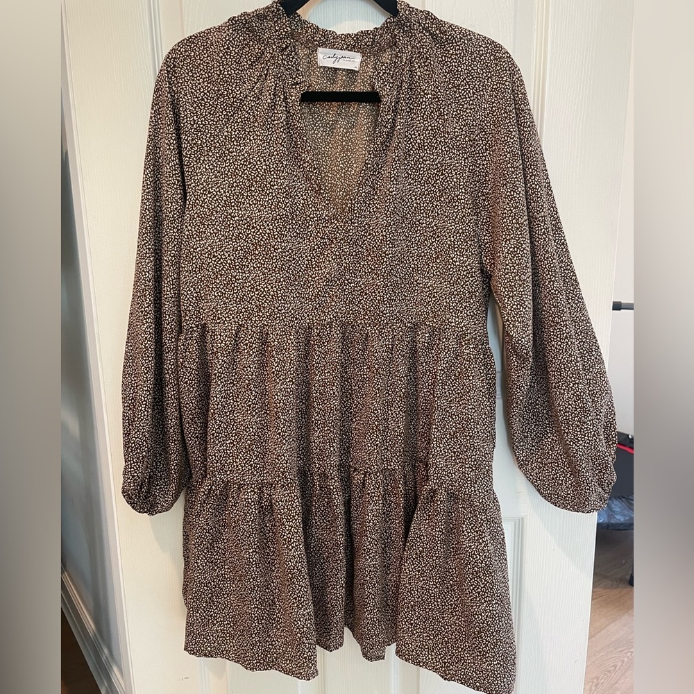 Carly Jean Los Angeles leopard dress